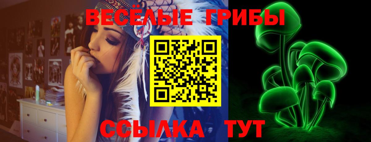 Ялта  Галлюциногенные грибы Cubensis  Вход с VPN 