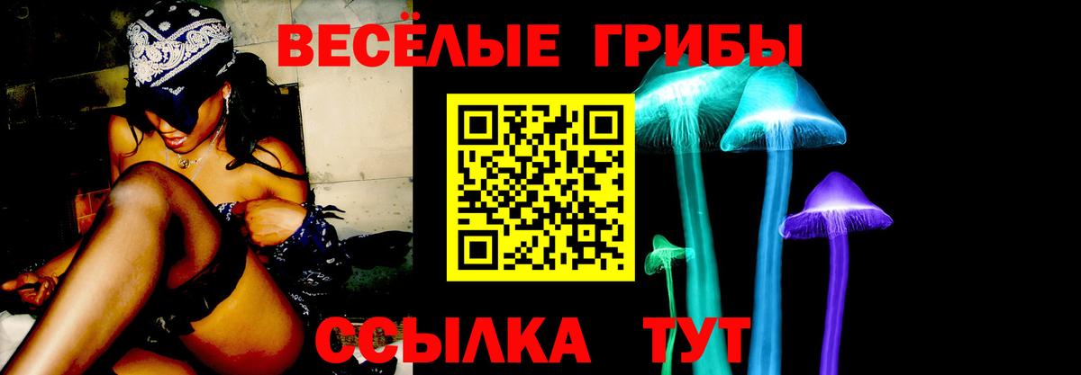 Галлюциногенные грибы GOLDEN TEACHER Ялта
